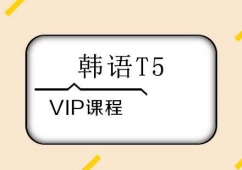 韩语T5 VIP课程培训班
