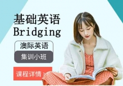 基础英语Bridging培训课程